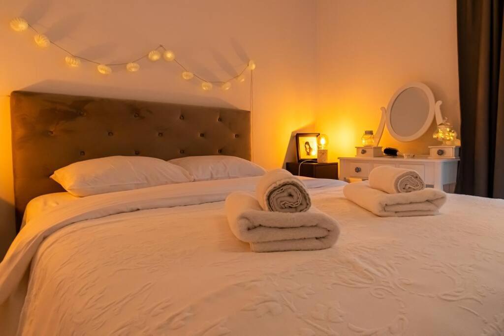 Arte - 2 Bedroom Near Coresi Mall With Free Parking Apartment Brașov